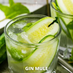 Gin Mule Bundle -SBS || Waterford || SAINT JAMES Verkaufsgeschäft Gin20Mule