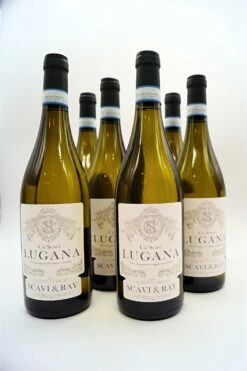 Lugana D.O.C 6 Flaschen Sparset