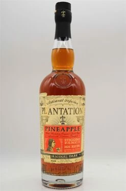 Artisanal Infusion Pineapple