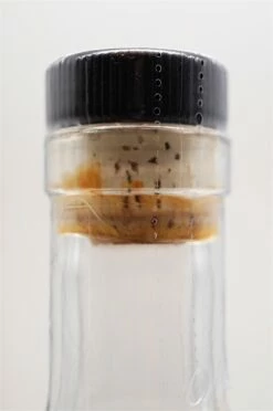 Texas Single Malt Classic Edition 9 Texas Single Malt Classic Edition -SBS || Waterford || SAINT JAMES Verkaufsgeschäft dsc09355