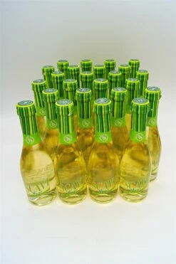 Hugo 0,2l 24 X Fl. Sparset