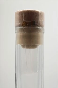 Fränkischer Nussknacker Walnuss Mit Cognac -SBS || Waterford || SAINT JAMES Verkaufsgeschäft kerngross9ur5shdwg2wim